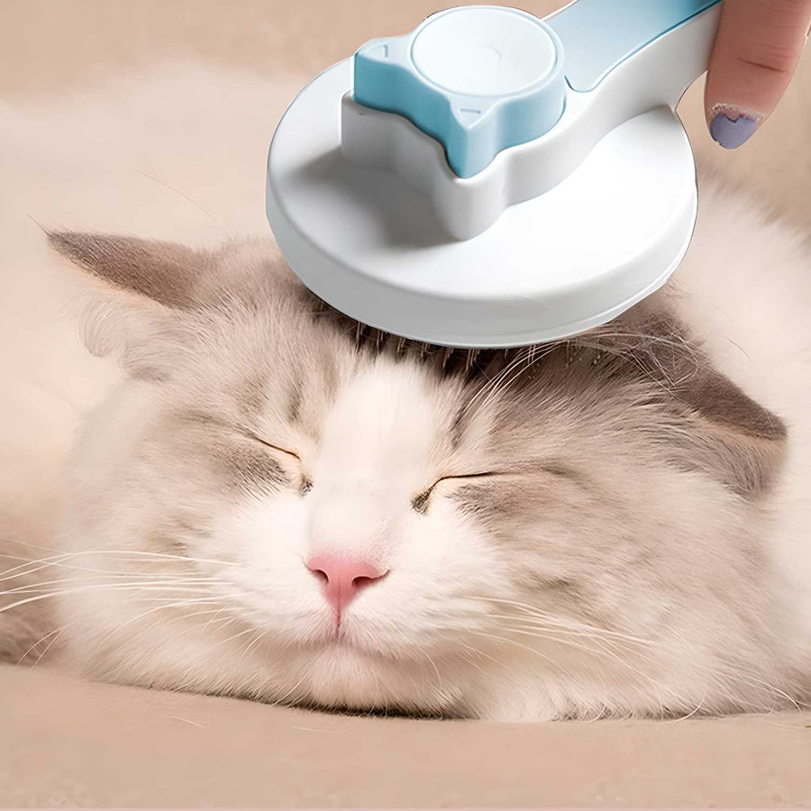 Shedding & pet hair
