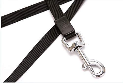 PawPura FreeRoam 5m Retractable Dog & Cat Leash – product photo