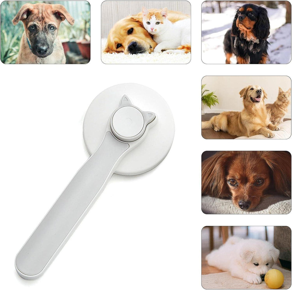 PawPura Pet Hair Removal Brush – product photo