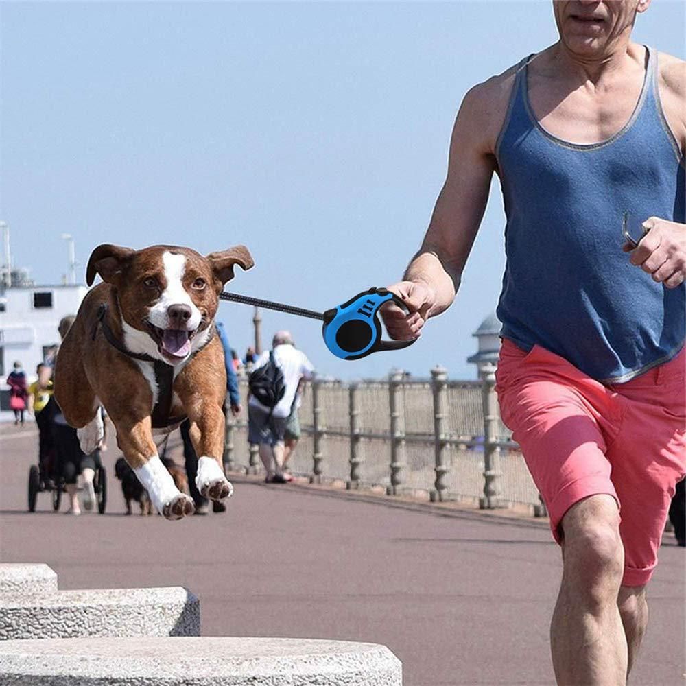PawPura FreeRoam 5m Retractable Dog & Cat Leash – product photo