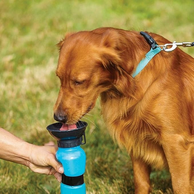 PawPura Portable Pet Sipper – product photo