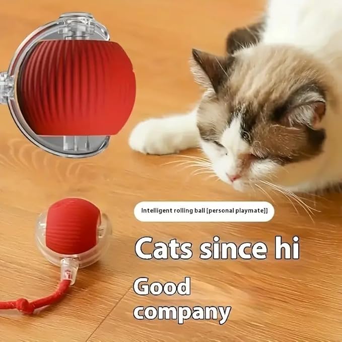 Cat Toy - Cat Toys for Indoor Cats Smart Chewy Viral Rolling Ball with Tail, Bird Sound, USB Rechargeable Automatic Rotating Ball