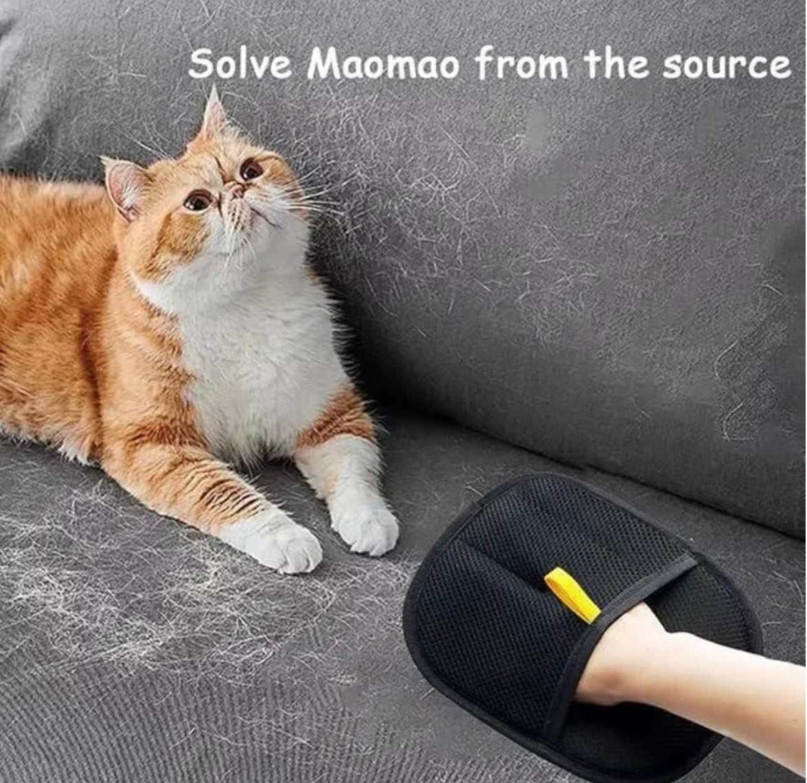 PawPura FurEase De-Shedding Grooming Glove – product photo