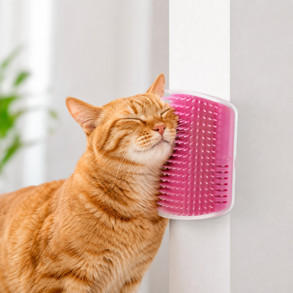 PawPura Cat Corner Self-Groomer – product photo