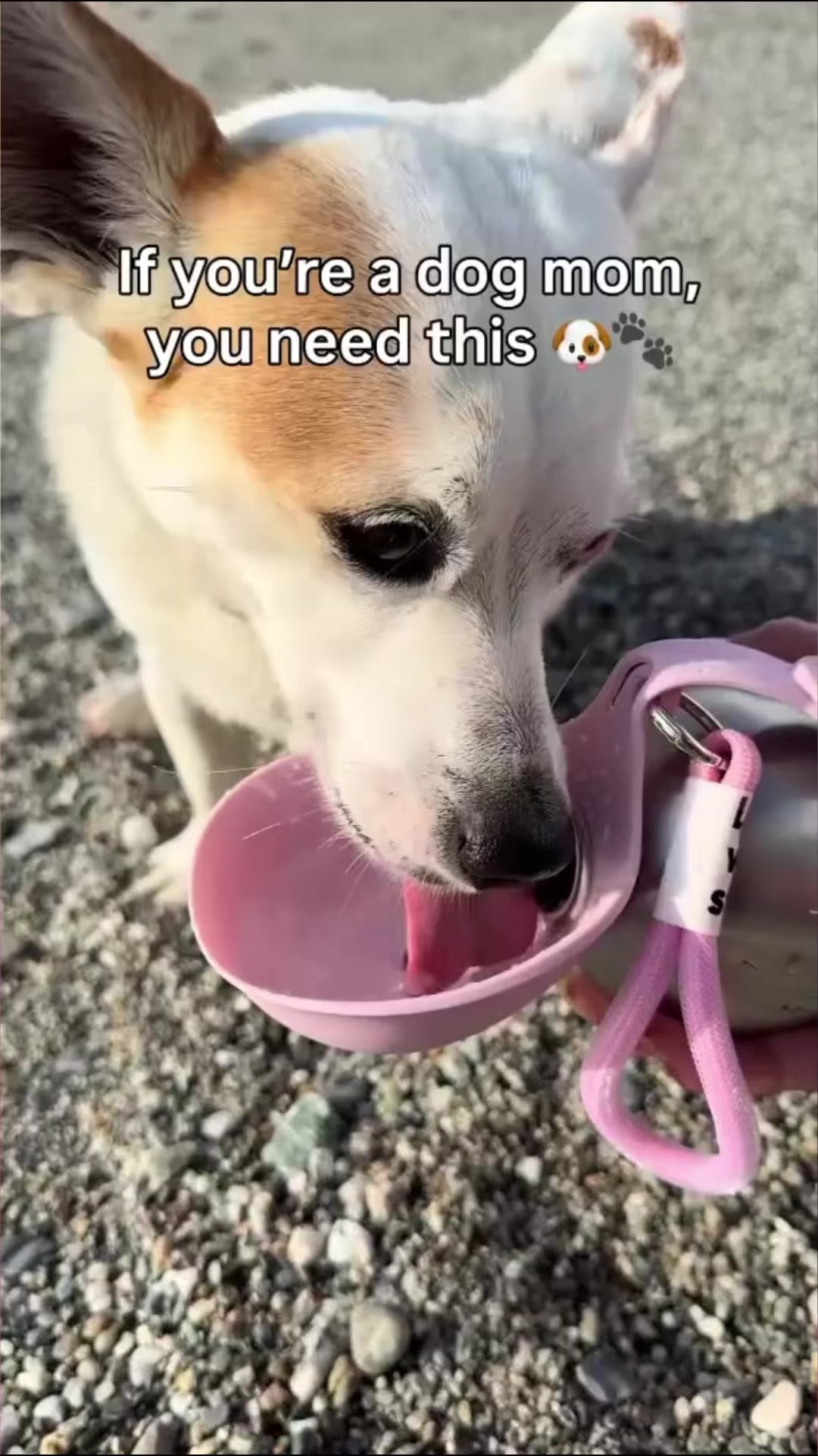 PawPura™ TravelSip Portable Dog Water Bottle